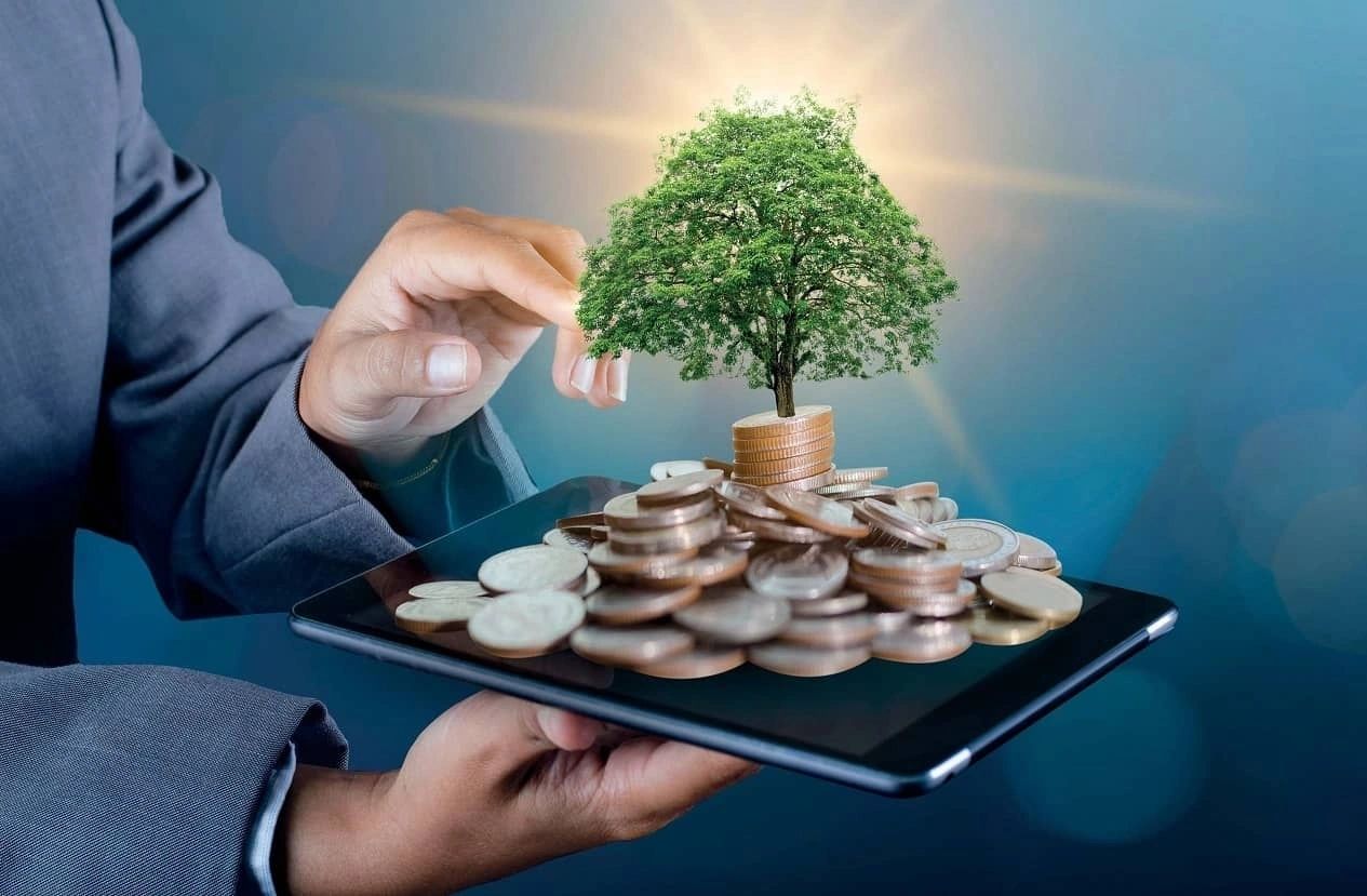 insight-cagr